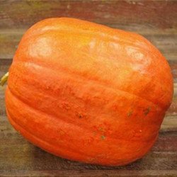 Pumpkin Golias