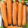 Carrot Flakkoro