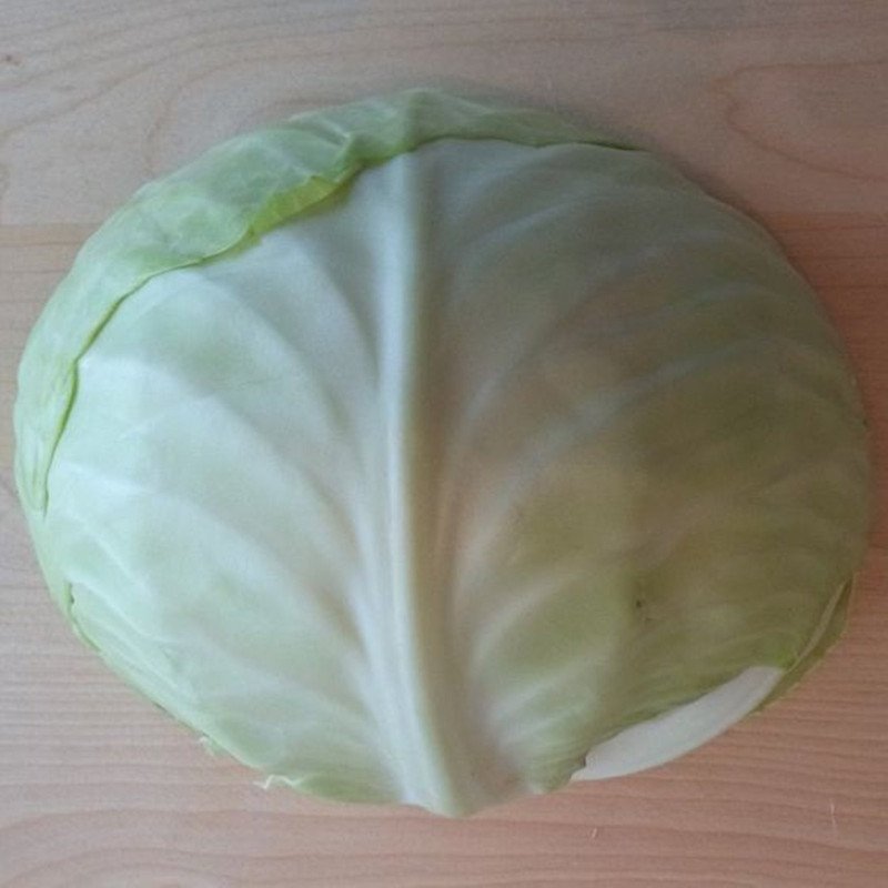 White Ball-head Cabbage Bartolo F1