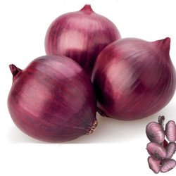 Onion Rossa Di Toscana