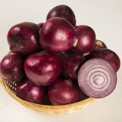 Onion Rote Laaer