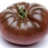 Tomato Brandywine True Black