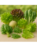 Leafy Greens Seeds | Lettuce, Spinach, Arugula & More