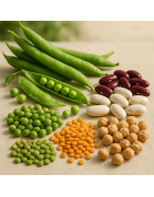 Legume Seeds for Sale | Beans, Lentils, Peas & More