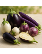 Eggplant Seeds | Aubergine, White & Heirloom Varieties