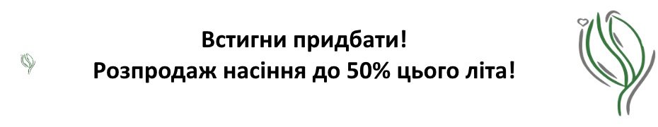 Акційні пропозиції та розпродажі