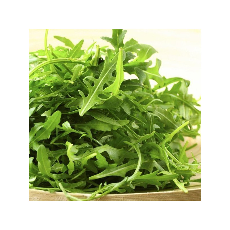 Arugula Torino