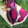 Beetroot Renova