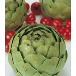 Artichoke Green Globe