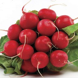 Radish Red Planet