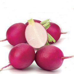 Radish Ovale Rosa Siciliano