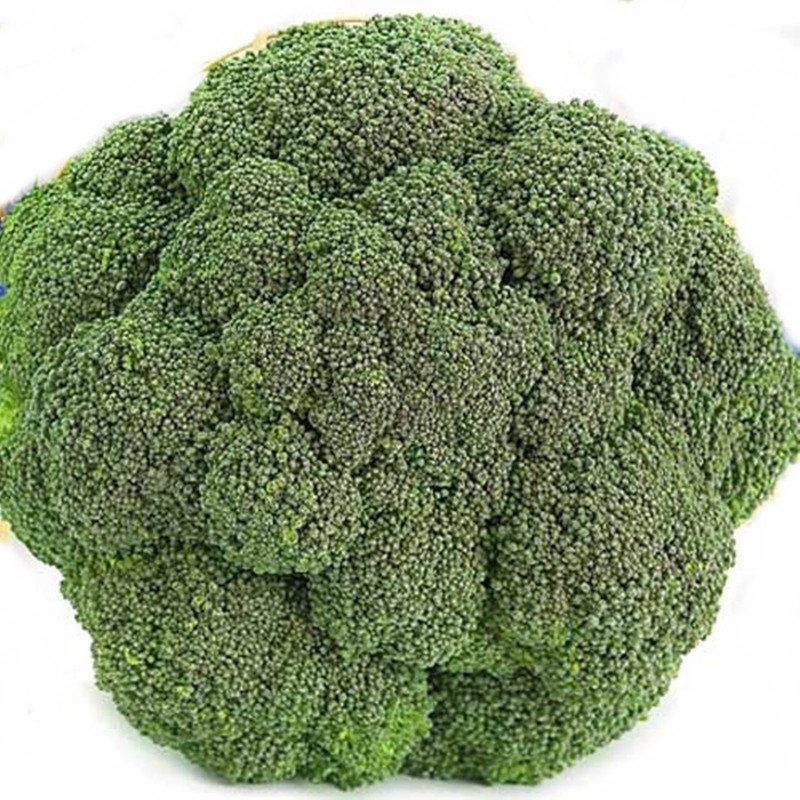 Broccoli Solstice