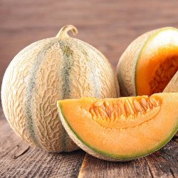 Melon Cantaloupe