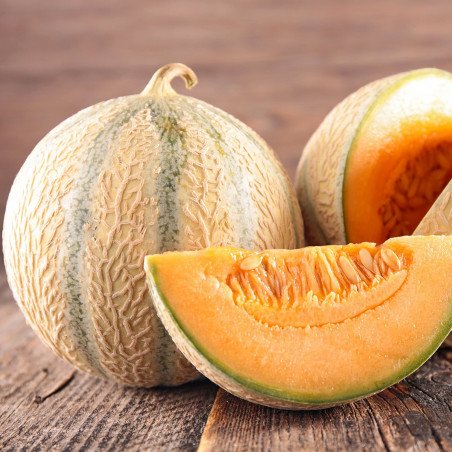 Melon Cantaloupe