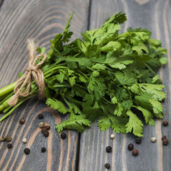 Coriander Nectar