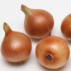 Onion Globus