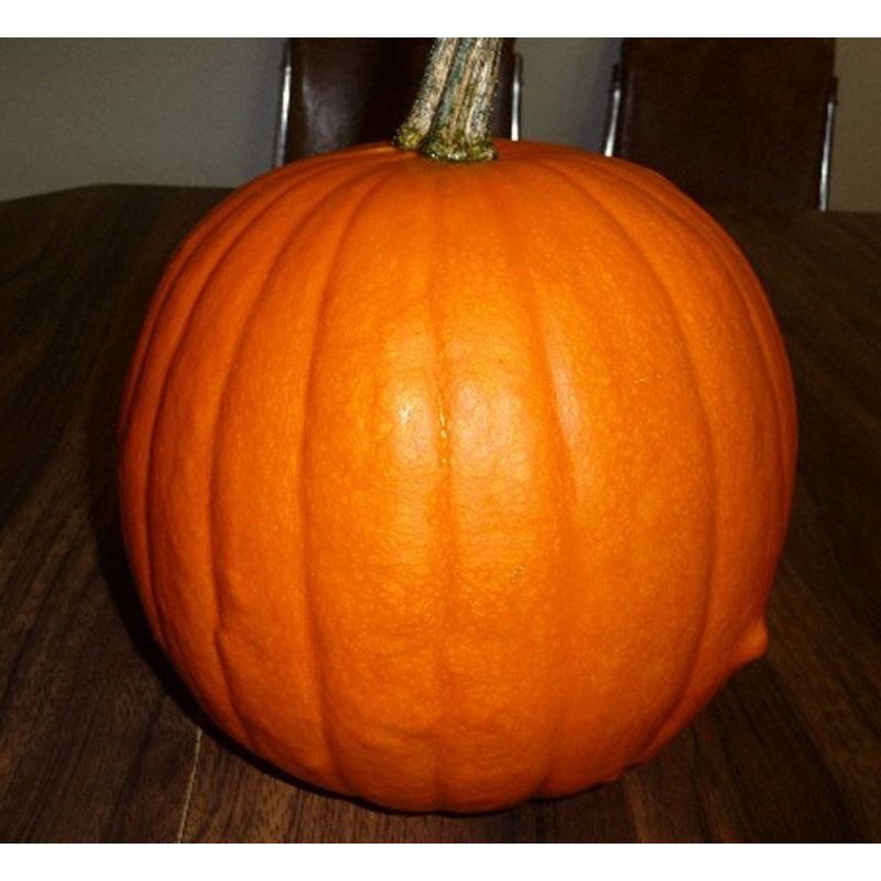 Pumpkin Jack O Lantern