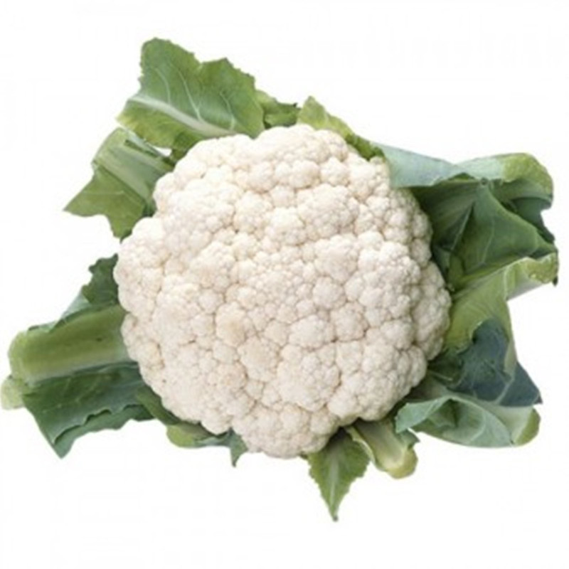 Cauliflower Patriot